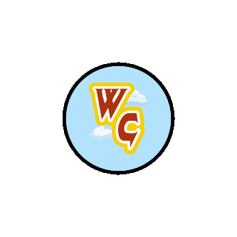 whats wildchat.